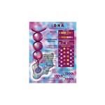 Carson-Dellosa Publishing Group DNA CHART 17x22 [CD5925]