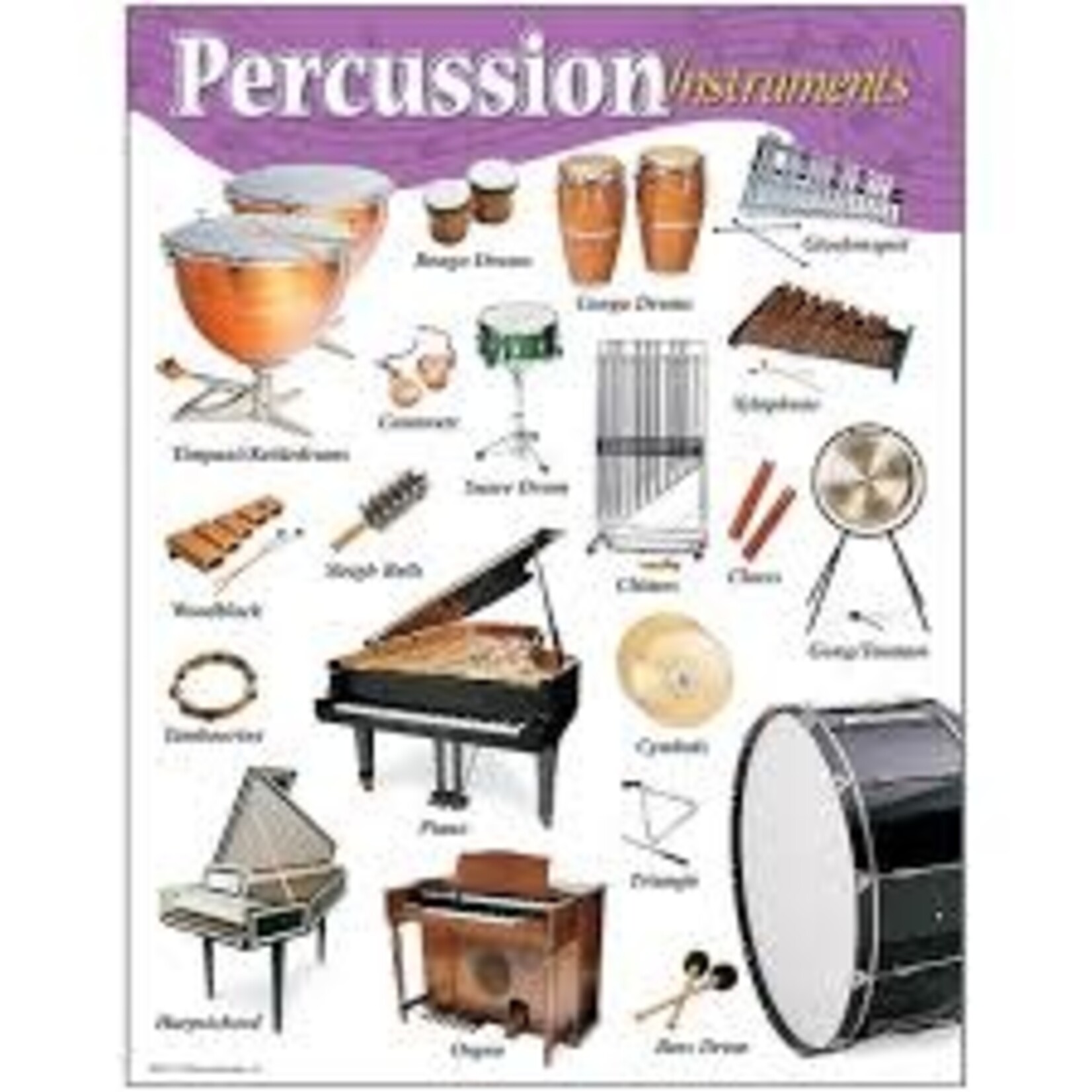 Trend Enterprises PERCUSSION INSTRUMENTS Learning Chart 17x22 [T38102]