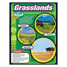 Trend Enterprises Grasslands CHART