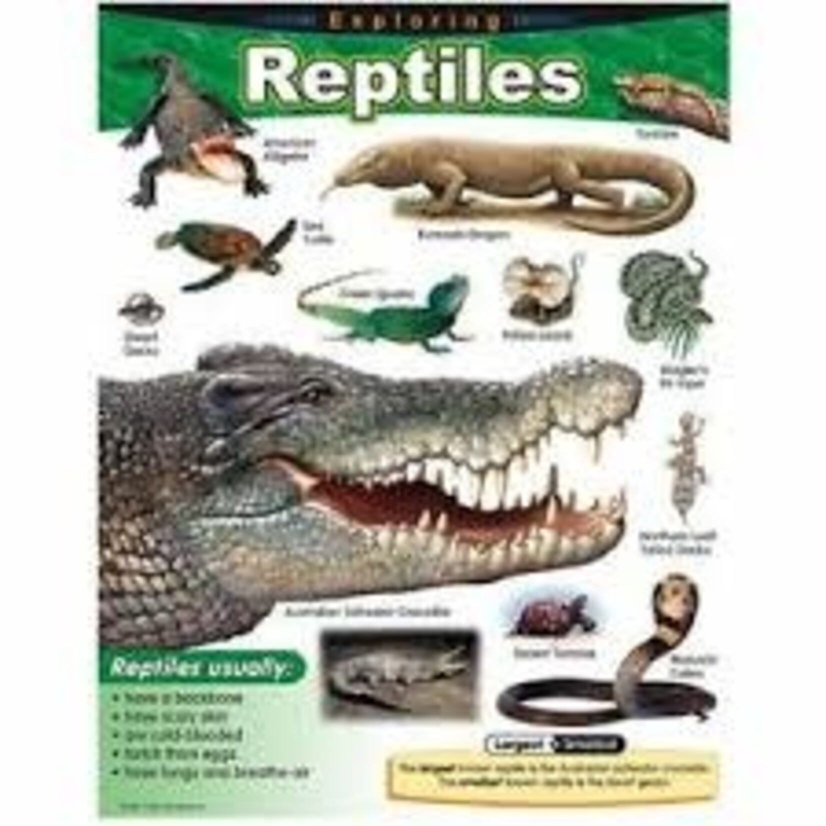 Trend Enterprises Exploring Reptiles Learning Chart 17x22 [T38181]