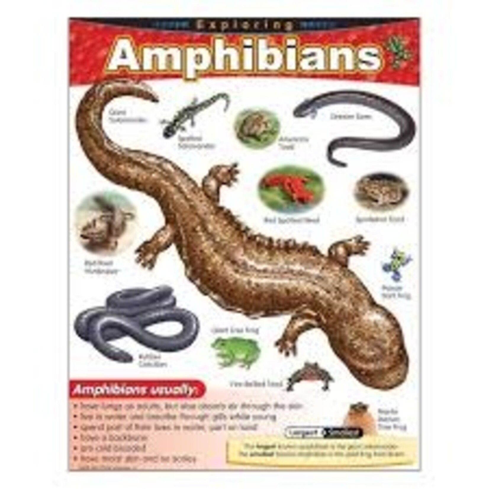Trend Enterprises Exploring Amphibians Learning Chart 17x22 [T38182]