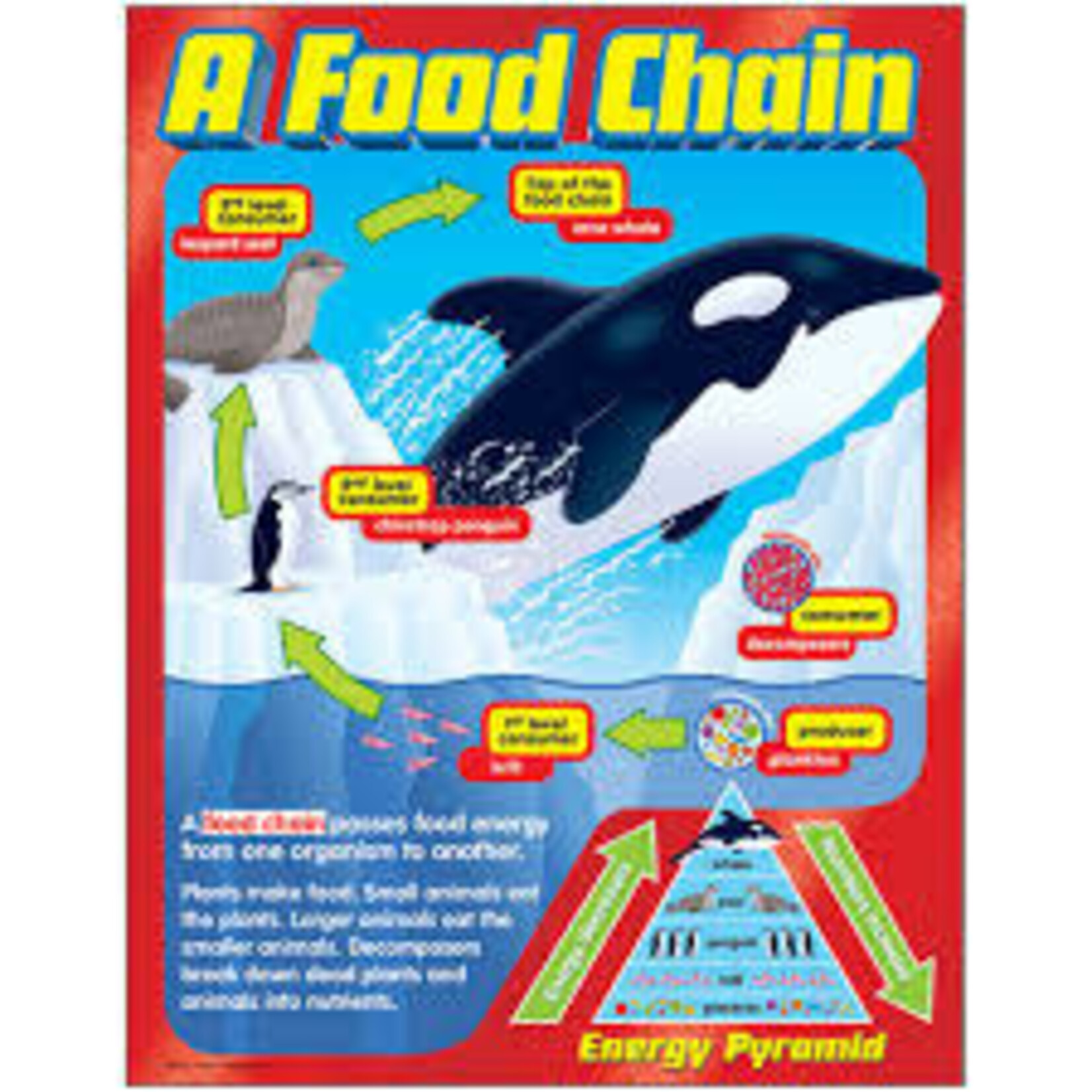 Trend Enterprises A Food Chain CHART 17x22 (T38186)