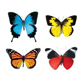 Trend Enterprises Butterflies/Mini Var/Pack
