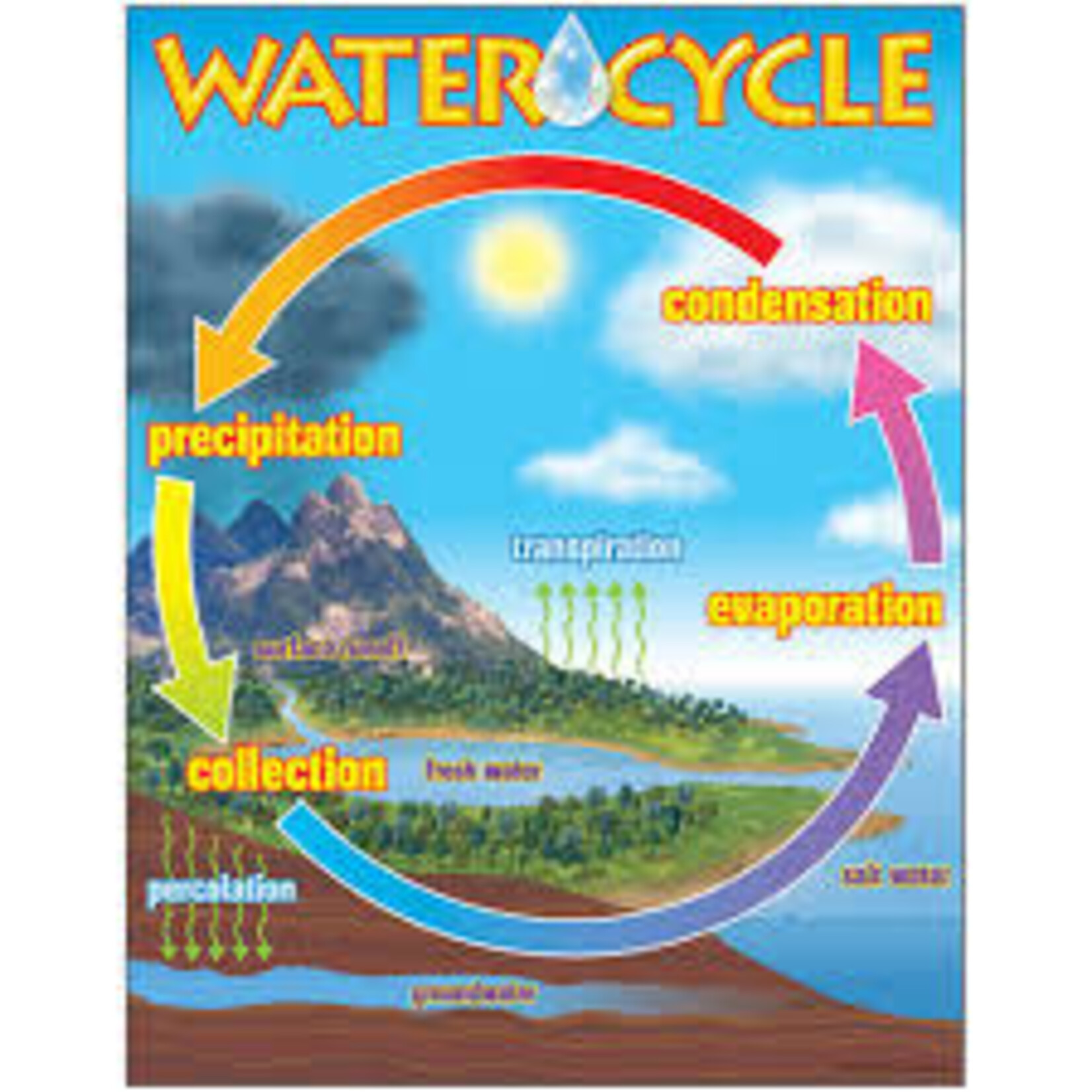 Trend Enterprises The Water Cycle Learning Chart 17x22 [T38119]