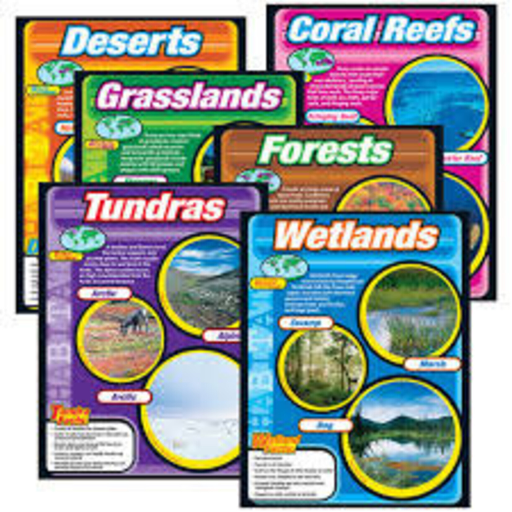 Trend Enterprises DESERTS Learning Chart 17x22 [T38145]
