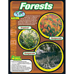 Trend Enterprises Forests Learning Chart 17x22 [T38148]