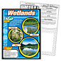 Trend Enterprises Wetlands Chart