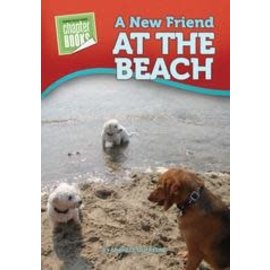 PIONEER VALLEY EDUCATION A New Friend at the Beach - Single Copy
