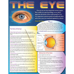 Carson-Dellosa Publishing Group The Eye  Learning Chart 17x22 [CD414040] [CD414040]