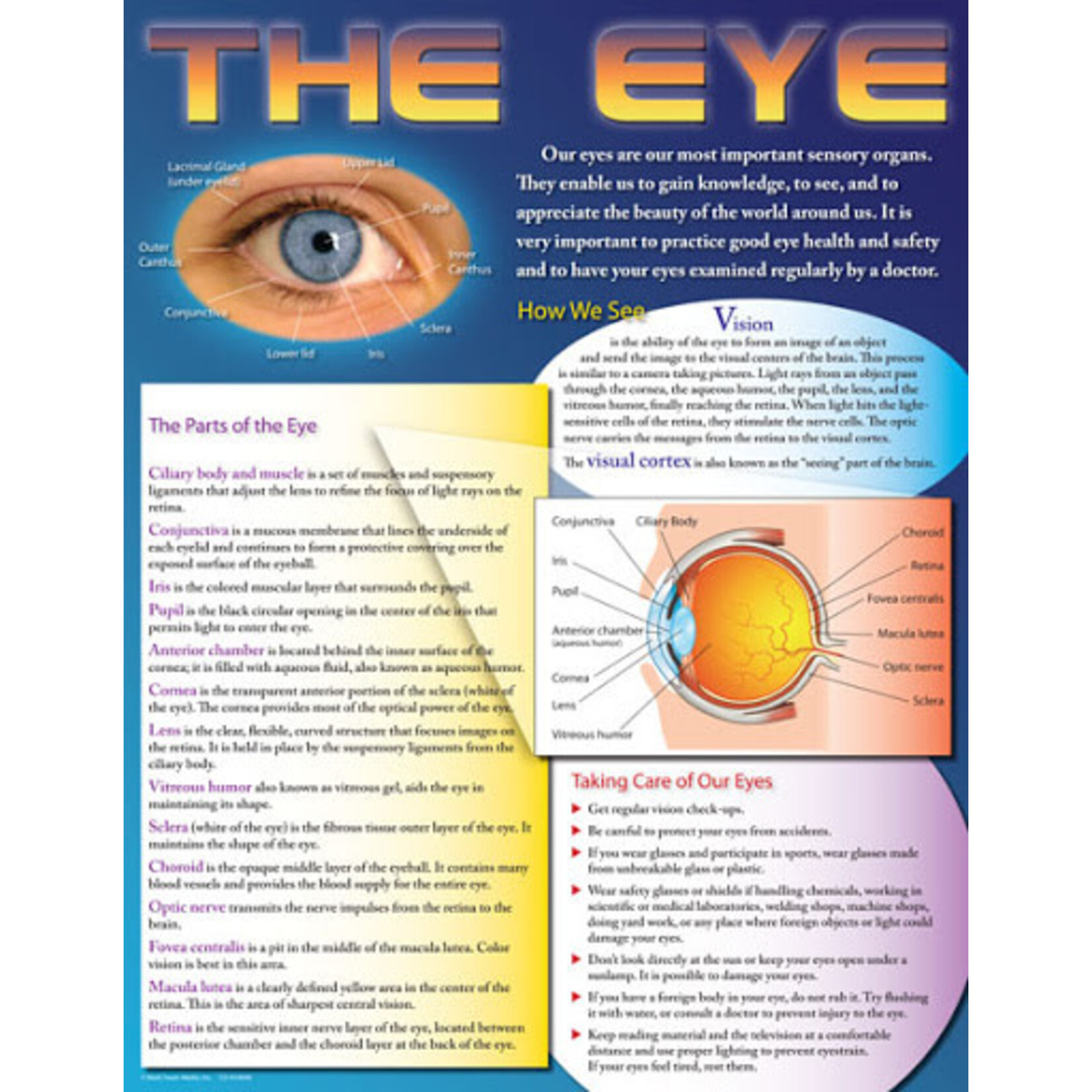 Carson-Dellosa Publishing Group The Eye  Learning Chart 17x22 [CD414040] [CD414040]