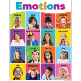 Teacher Created Resources Colorful Emotions Chart