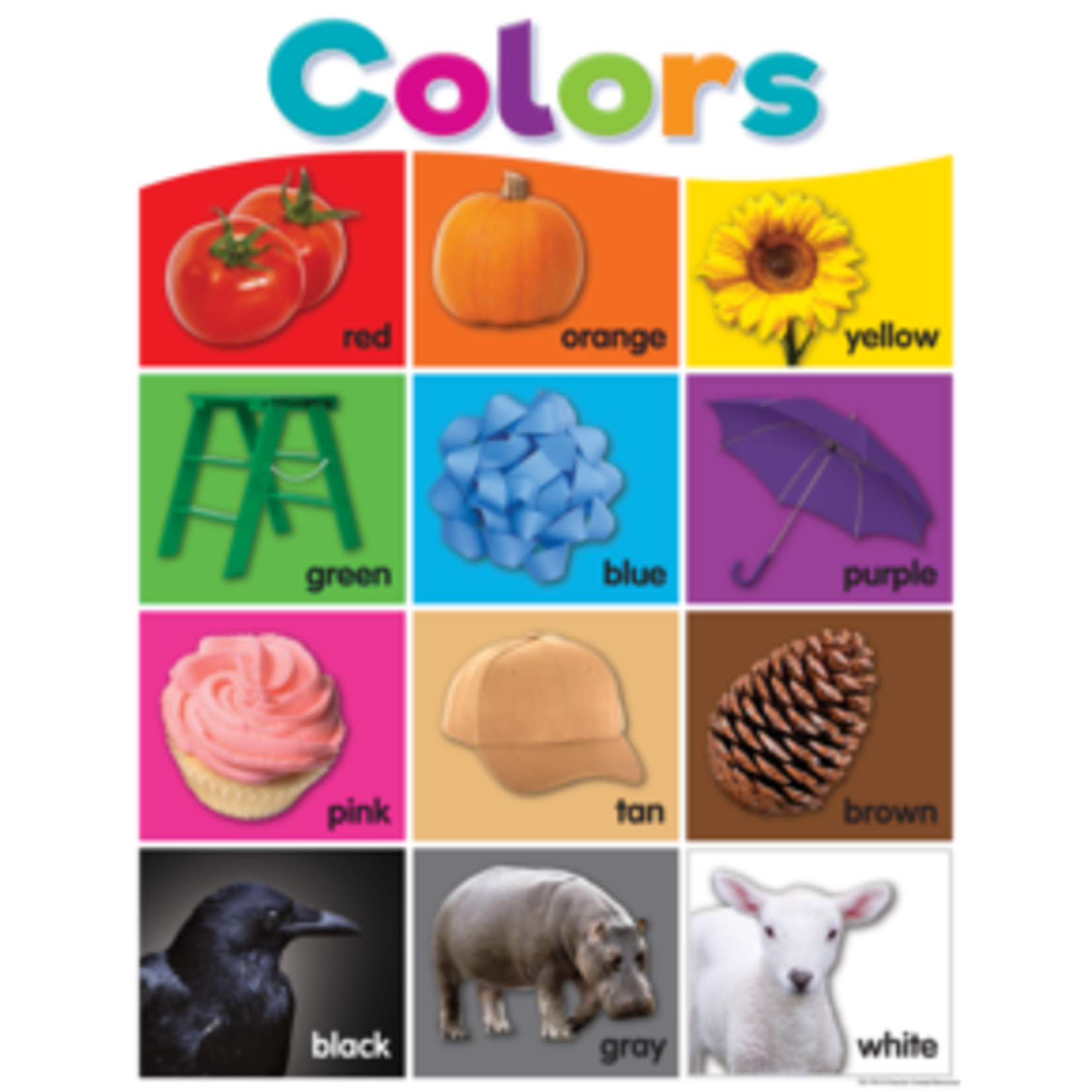 Teacher Created Resources Colorful Colors Chart 17x22 [TCR7991]