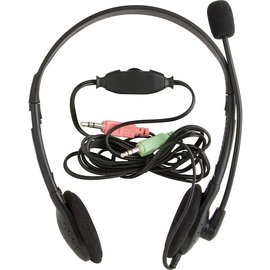 Headset w/ Microphone