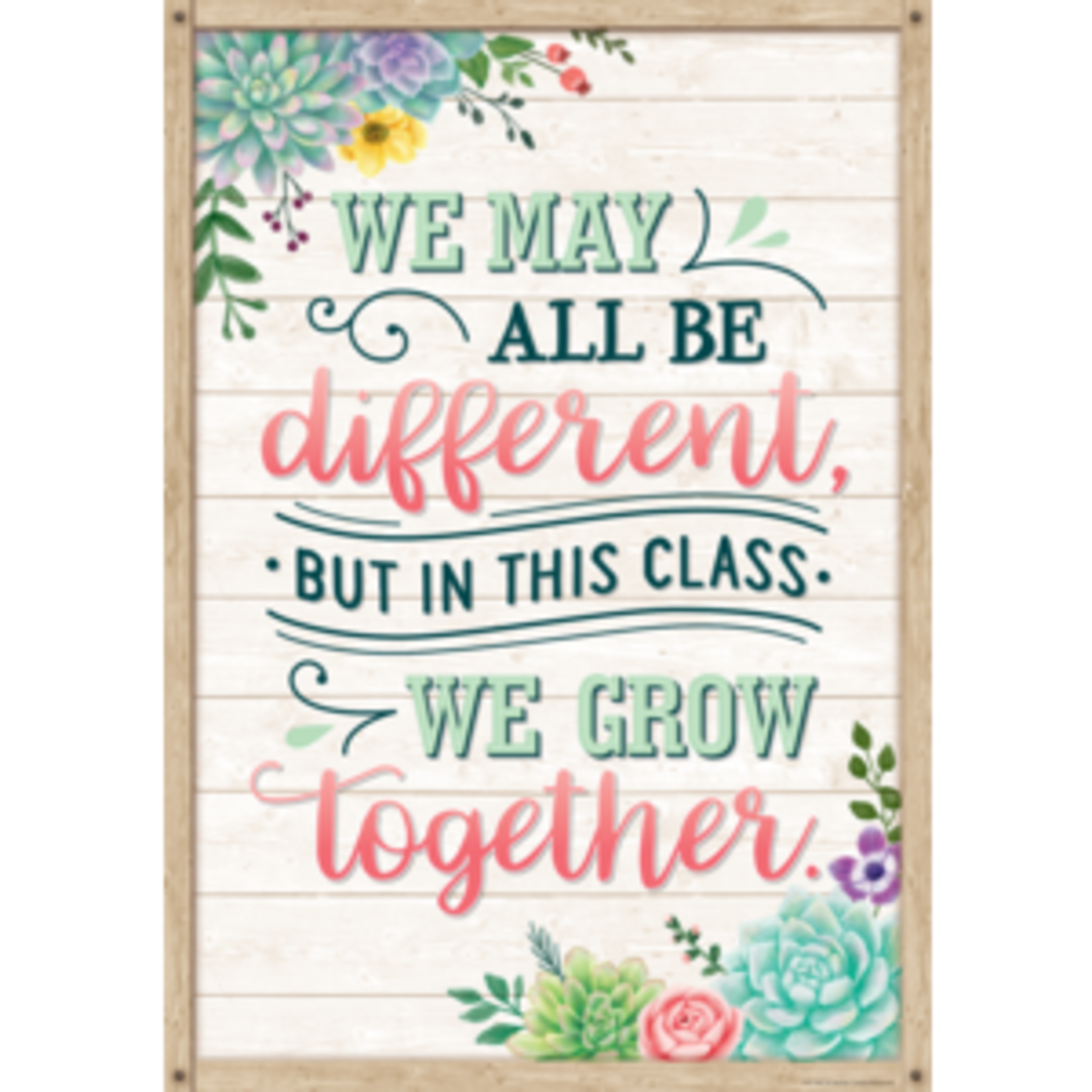 Teacher Created Resources We May All Be Different, but in This Class We Grow Together Positive Poster [TCR7442]