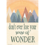 Teacher Created Resources Donâ€™t Ever Lose Your Sense of Wonder Positive Poster [TCR7458]