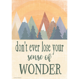 Teacher Created Resources Don’t Ever Lose Your Sense of Wonder Positive Poster