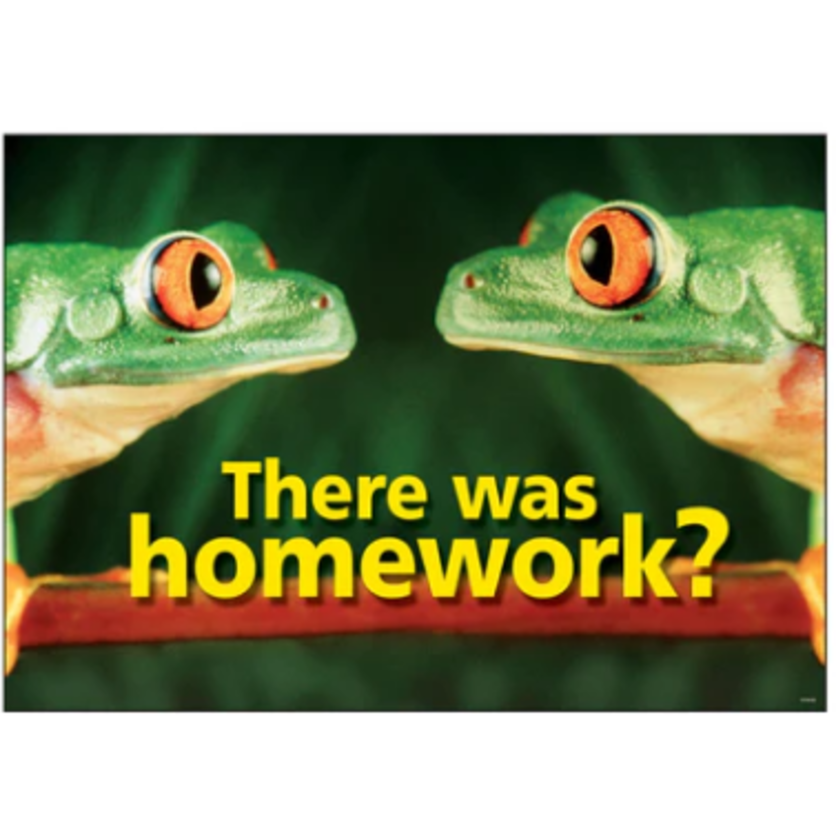 Trend Enterprises There was homework? ARGUS Poster [TA67119]