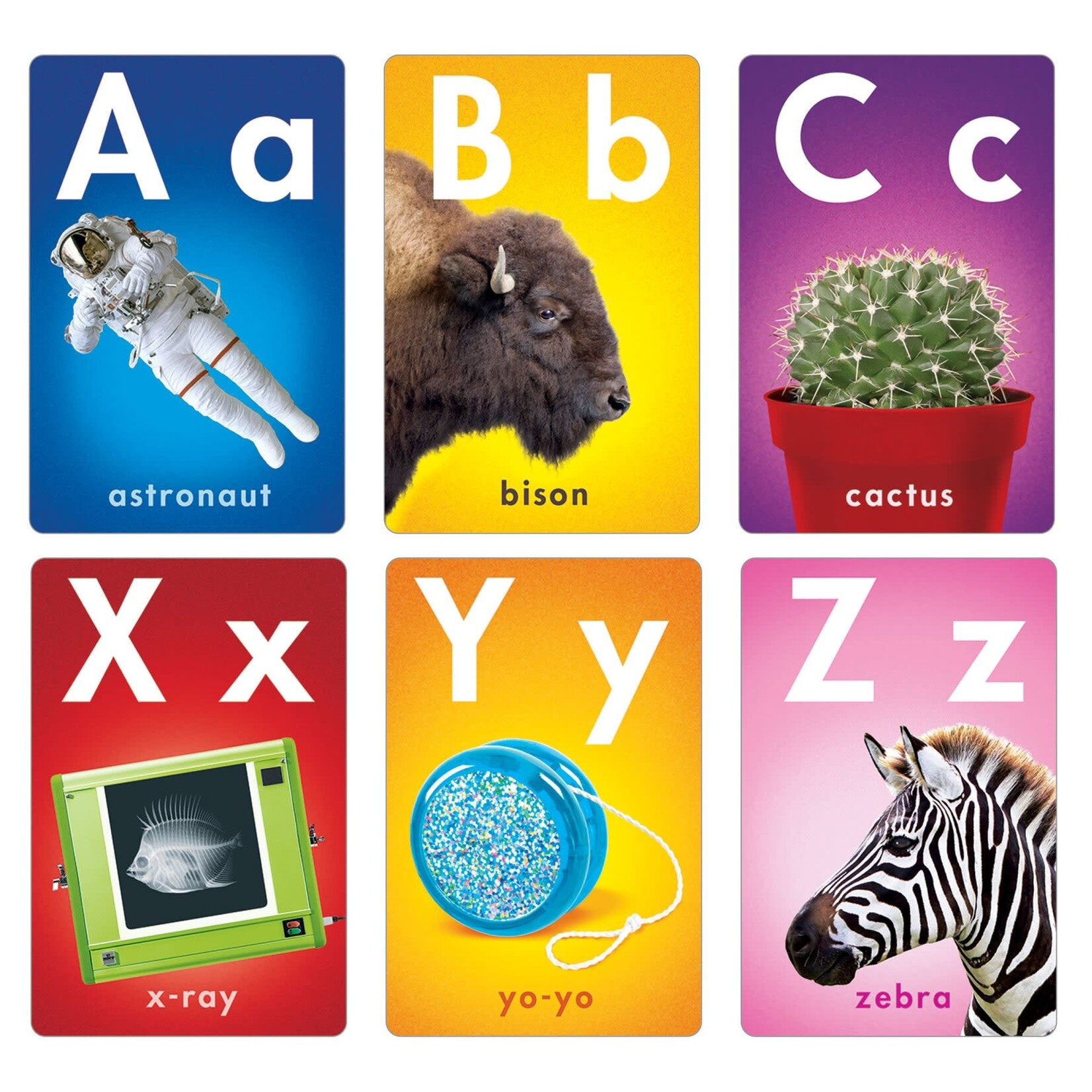 Trend Enterprises ABC Photo Fun Learning Set [T19007]