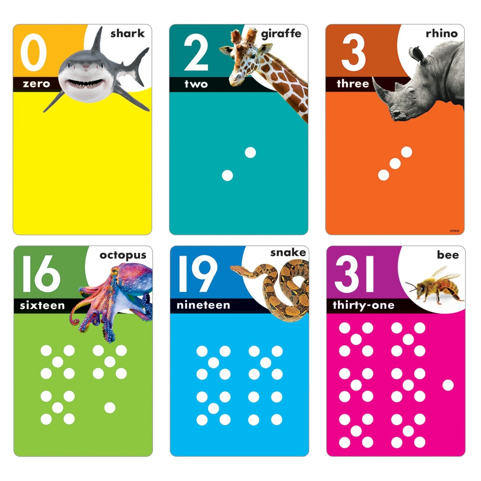 Trend Enterprises Animals Count 0-31 Learning Set [T19008]
