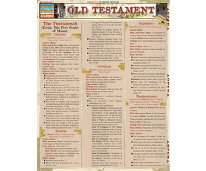New Testament Laminated Quick Study Guide by BarCharts