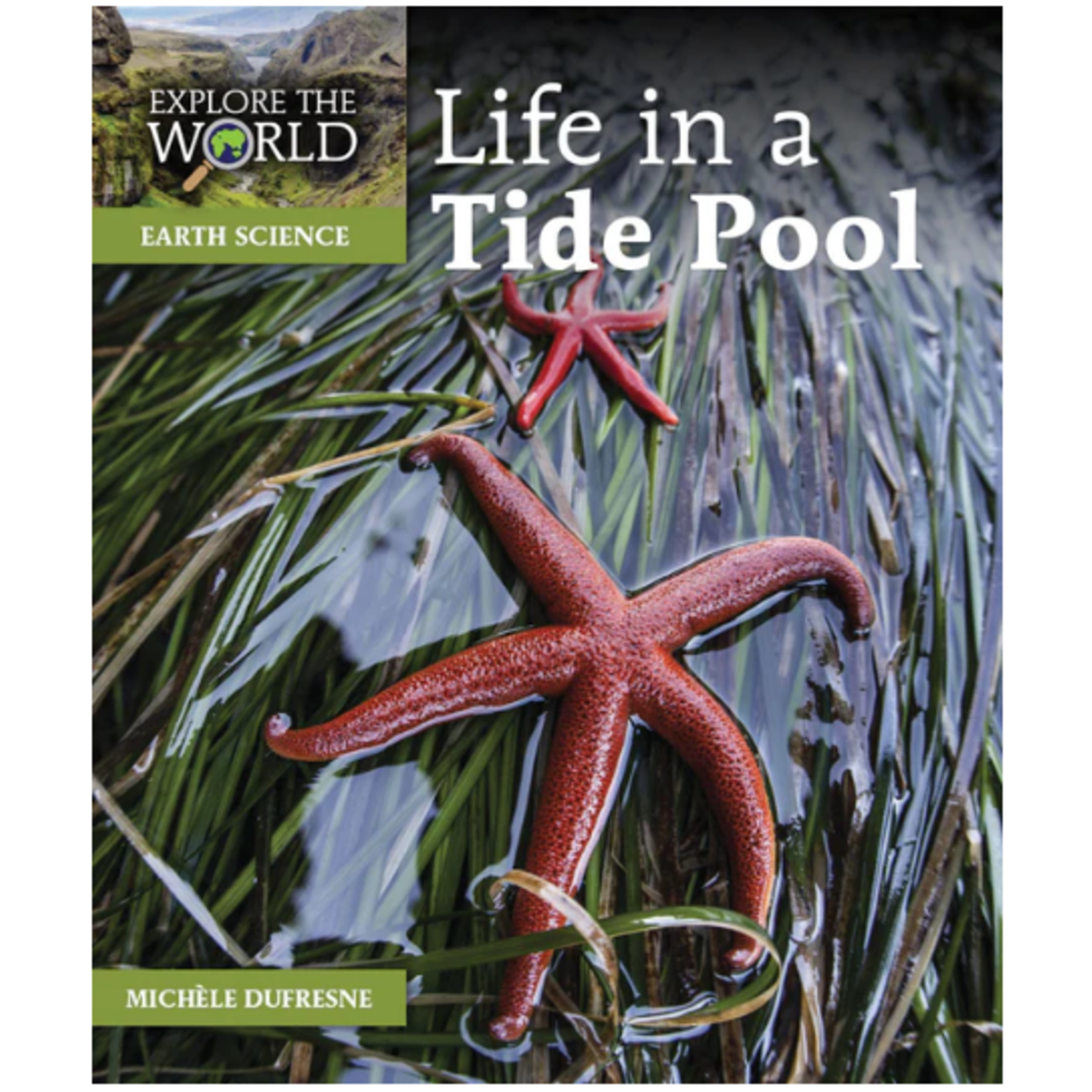 PIONEER VALLEY EDUCATION LIFE IN A TIDE POOL by Michele Dufresne [ETW-K13]