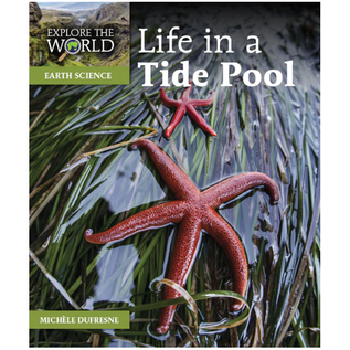 PIONEER VALLEY EDUCATION LIFE IN A TIDE POOL by Michele Dufresne