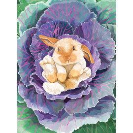 ALLPORT EDITIONS Cabbage Bunny Blank Greeting Card