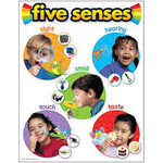 Trend Enterprises Five Senses Learning Chart 17x22 [T38051]
