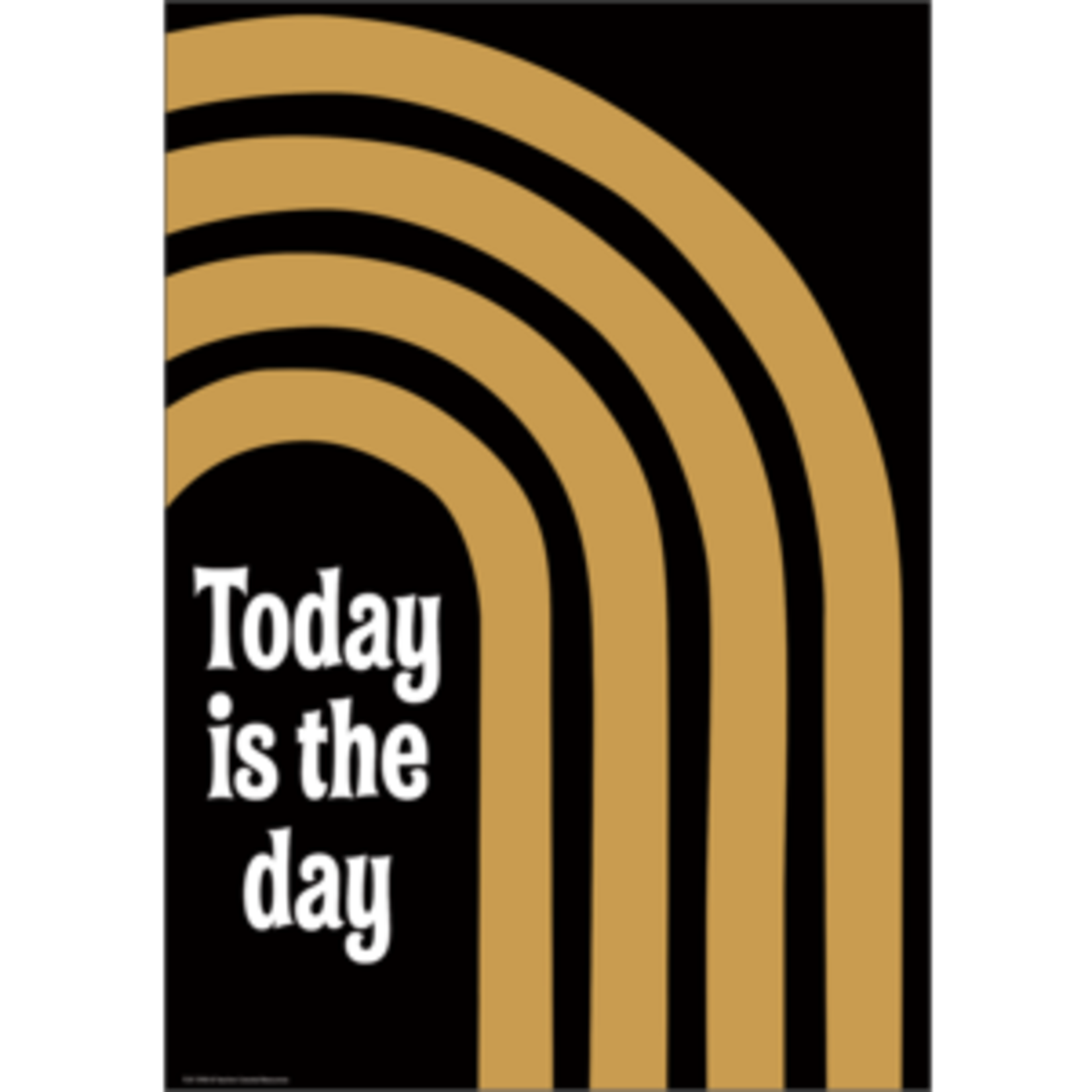 Teacher Created Resources Today is the Day Positive Poster [TCR7398]