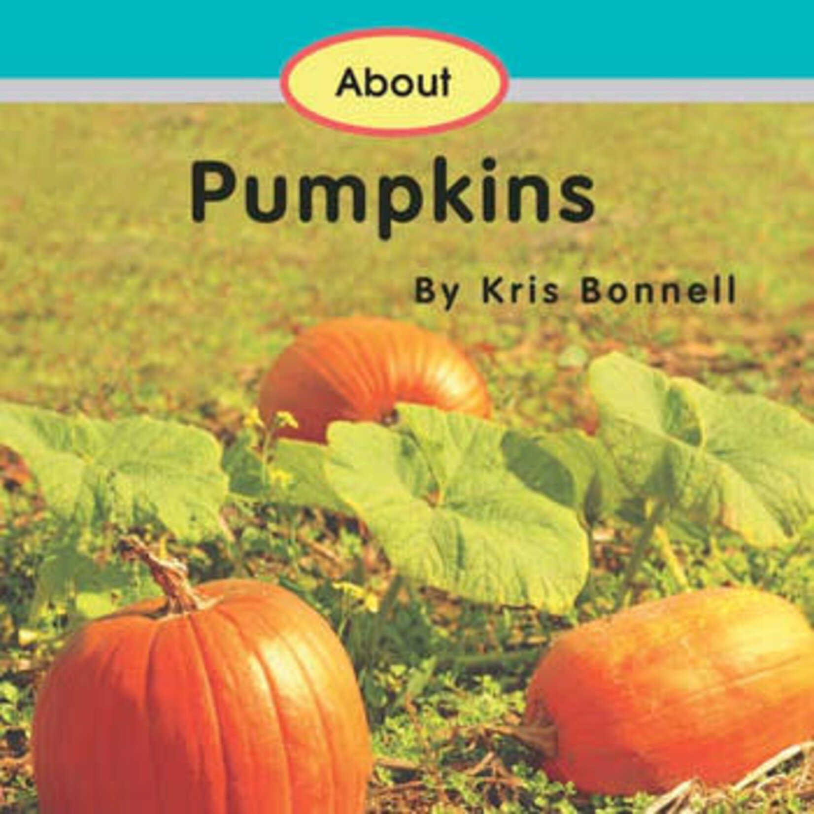 READING READING BOOKS ABOUT PUMPKINS - Single copy [1APUM]