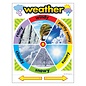 Trend Enterprises WEATHER Learning Chart 17 x 22