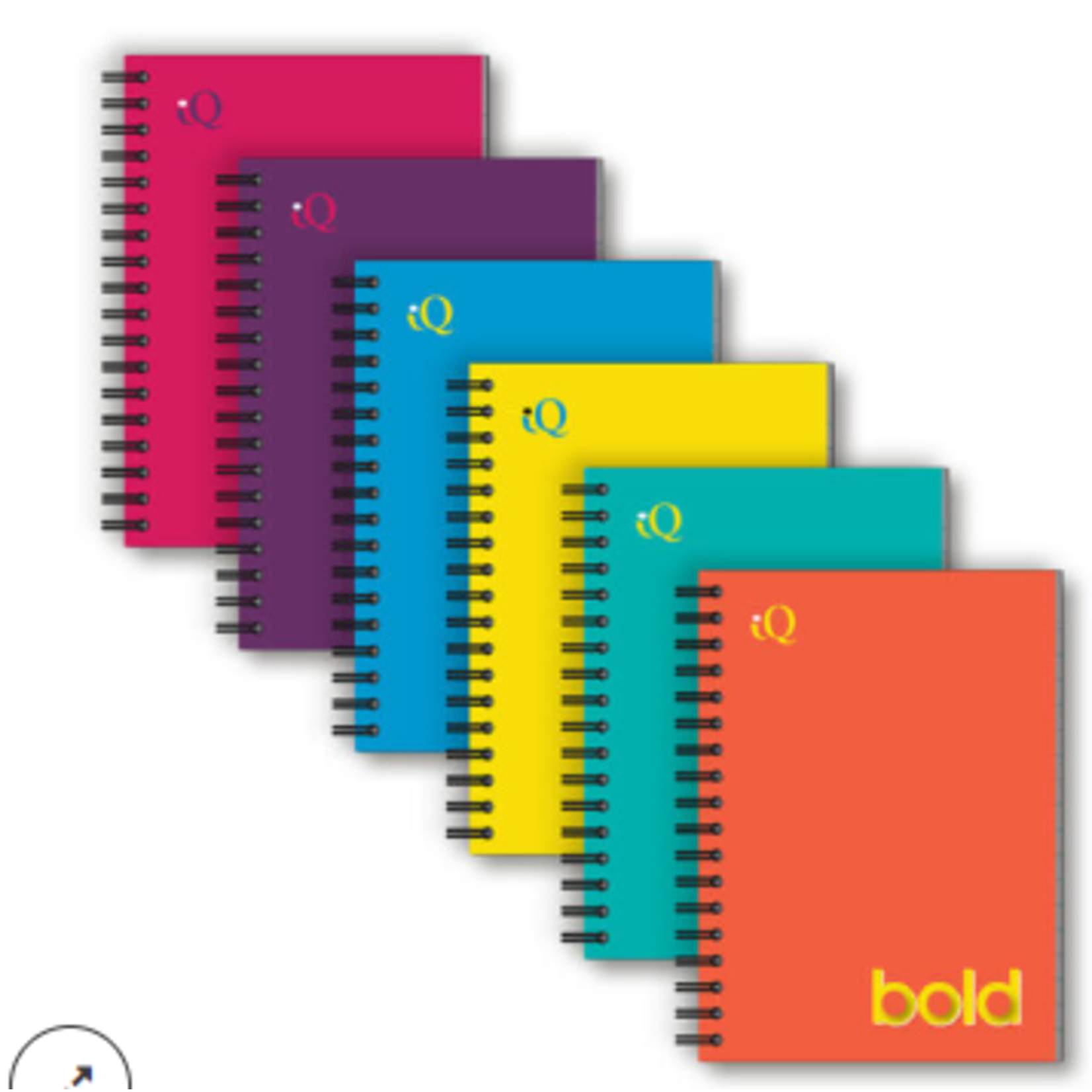 iSCHOLAR IQ BOLD FAT BOOK NOTEBOOK 5.5″ X 4″ [55200]