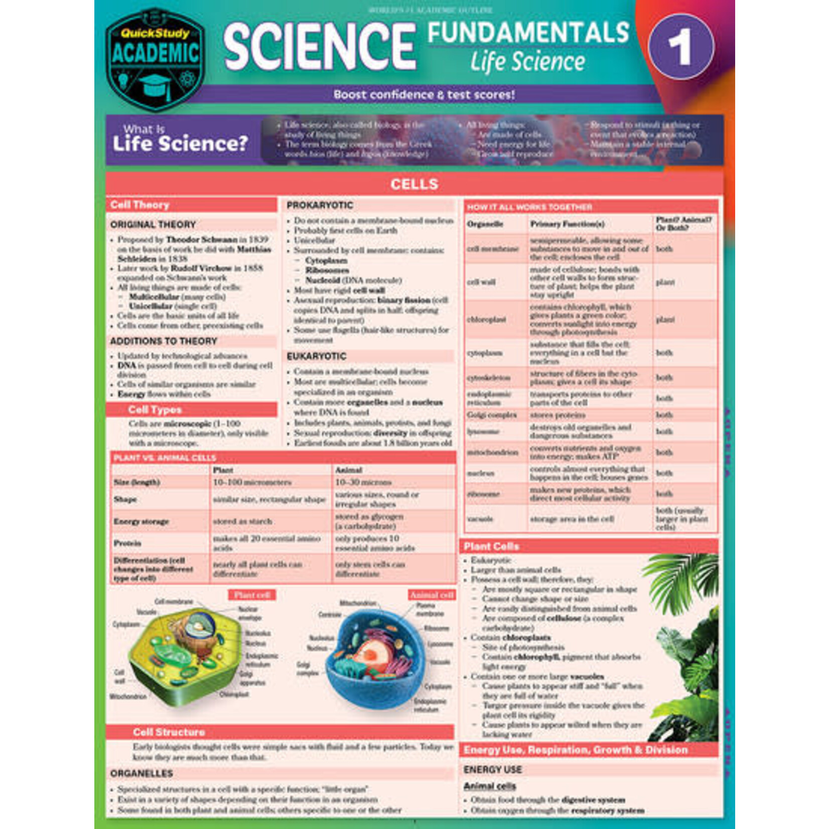 QuickStudy QuickStudy | Science Fundamentals 1: Cells, Plants & Animals Laminated Study Guide [249375]