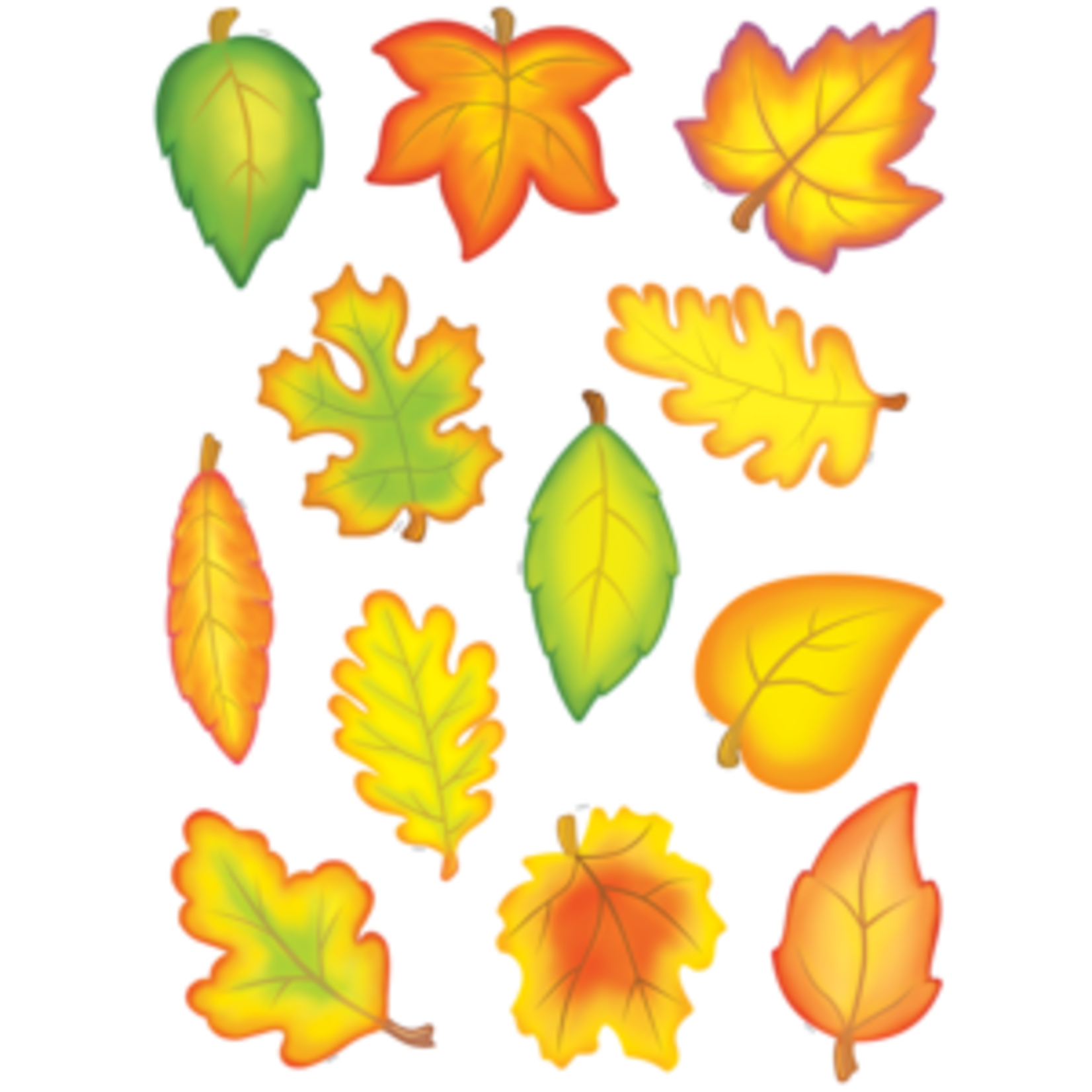 Teacher Created Resources Fall Leaves Accents [TCR4419]