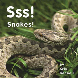 READING READING BOOKS Sss SnakeS - Single Copy