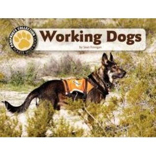 PIONEER VALLEY EDUCATION Working Dogs - Single Copy