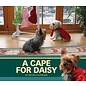 PIONEER VALLEY EDUCATION A Cape for Daisy - Single Copy