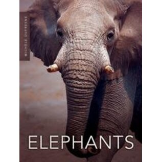 PIONEER VALLEY EDUCATION Elephants - Single Copy