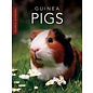 PIONEER VALLEY EDUCATION Guinea Pigs - Single Copy
