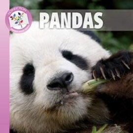 PIONEER VALLEY EDUCATION Pandas - Single Copy