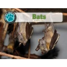 PIONEER VALLEY EDUCATION Bats - Single Copy