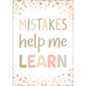 Teacher Created Resources Mistakes Help Me Learn Positive Poster