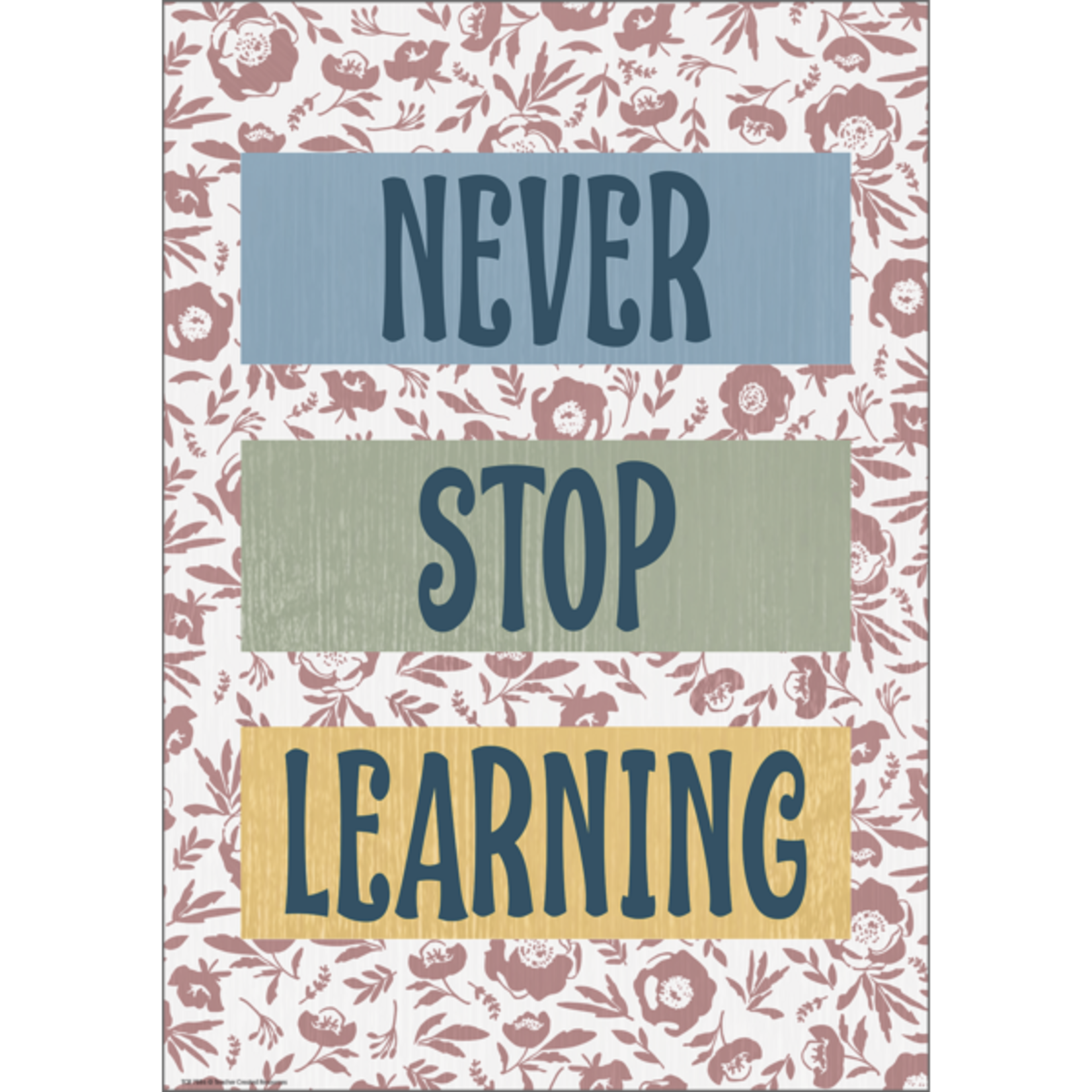 Teacher Created Resources Never Stop Learning Positive Poster [TCR7886]