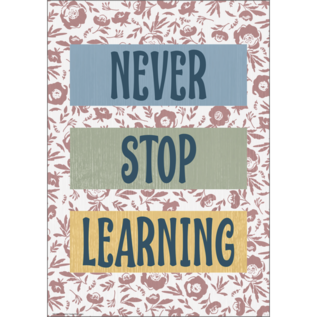 Teacher Created Resources Never Stop Learning Positive Poster