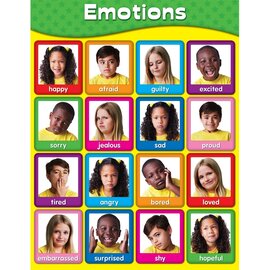 Carson-Dellosa Publishing Group Emotions Chart