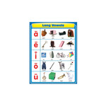 Carson-Dellosa Publishing Group Long Vowels Chartlet 17x22 [CD114064]