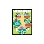 Carson-Dellosa Publishing Group The Life Cycle of a Plant Chart 17x22 [CD6358]