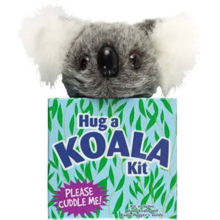 Peter Pauper Press Hug a Koala Kit