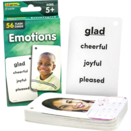 Teacher Created Resources Emotions Flash Cards