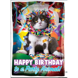 Happy Birthday Party Animal 17 Inch Foil Mylar Balloon Jr. Shape